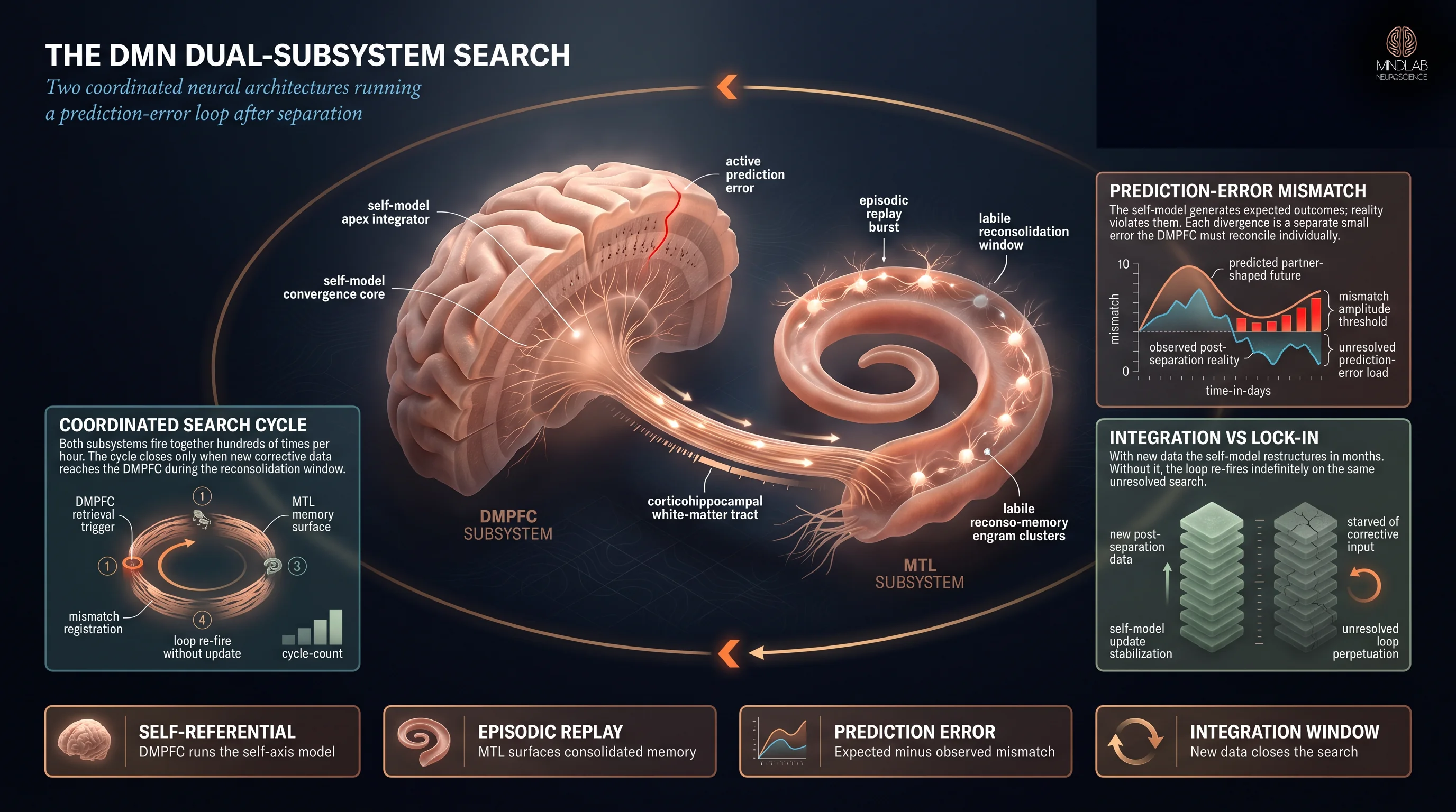 Default mode network dual subsystems DMPFC self-referential MTL episodic replay coordinated search diagram — Dr. Sydney Ceruto, MindLAB Neuroscience.