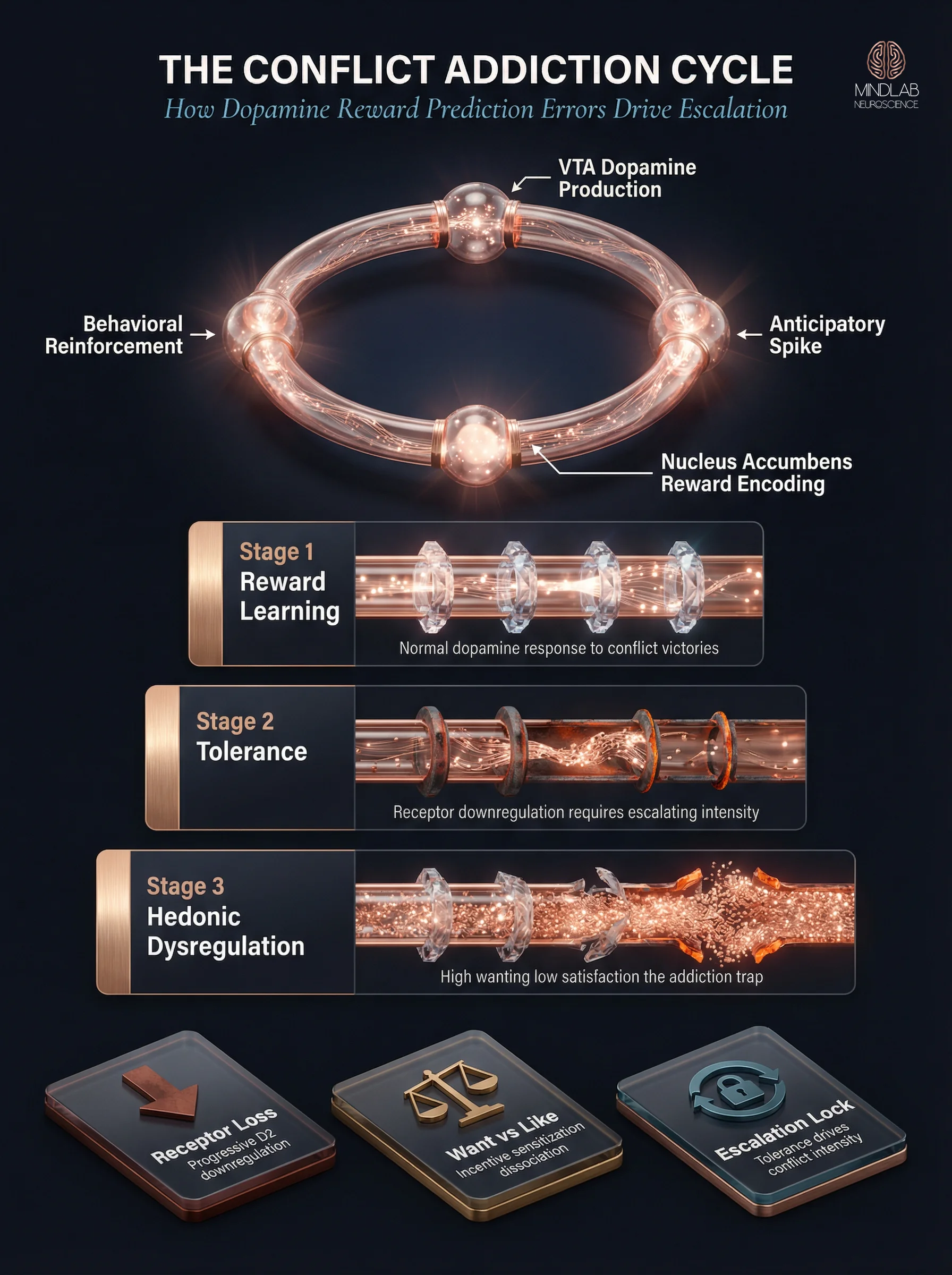 Conflict addiction dopamine prediction-error loop cycle diagram — VTA nucleus accumbens escalation. Dr. Sydney Ceruto, MindLAB Neuroscience.