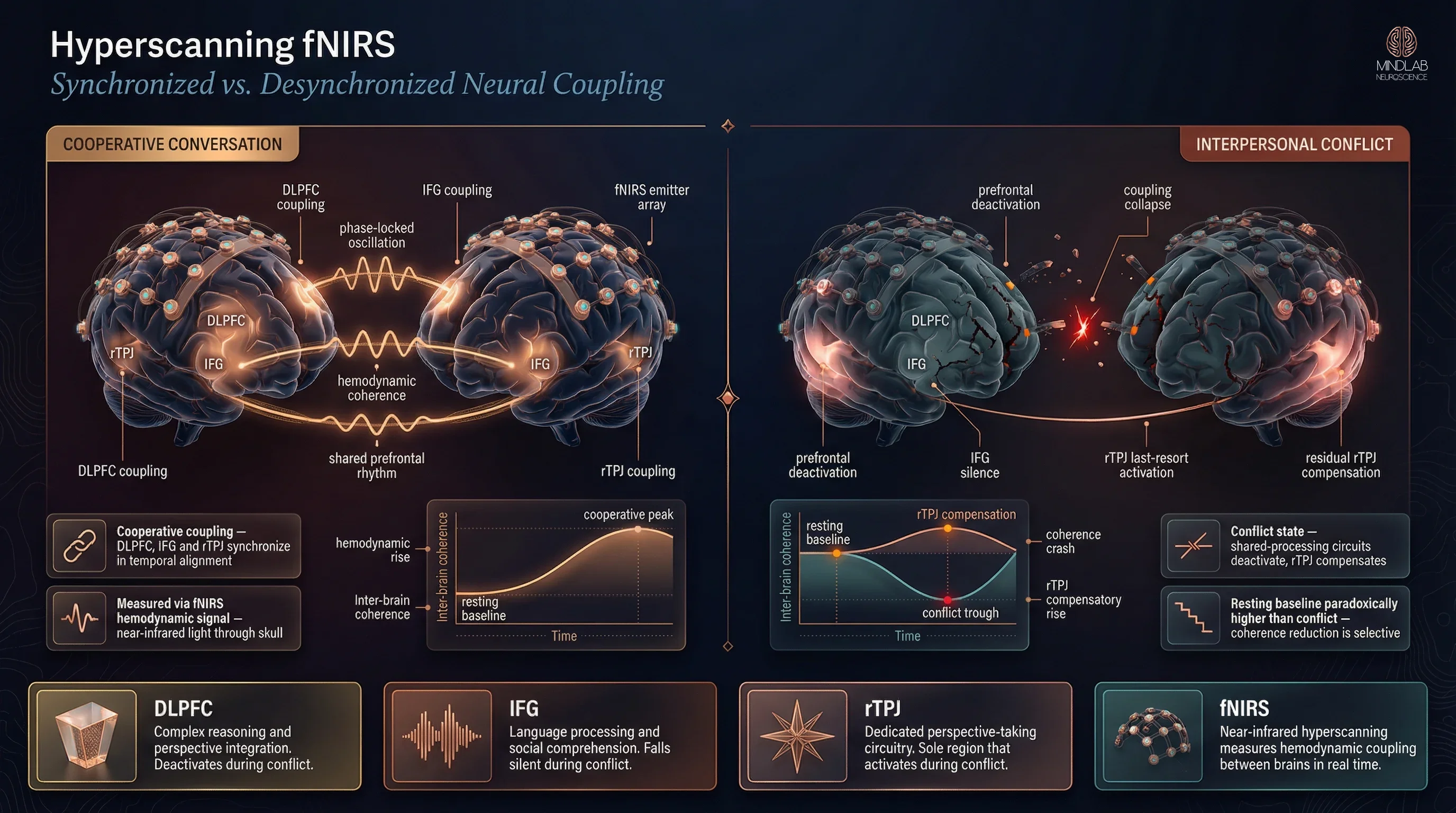 Hyperscanning fNIRS methodology inter-brain neural coupling diagram DLPFC rTPJ synchronization — Dr. Sydney Ceruto, MindLAB Neuroscience.